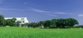 三棵树定制绿色品质旅程，来了就不想离开