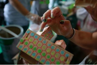 三棵树定制绿色品质旅程，来了就不想离开